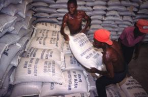 Neoliberal policies have ravaged Haiti's agricultural production and made the country subsistent on food imports, often in the form of food aid