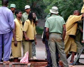 Munyaradzi Gwisai and other activists are escorted out of court in Harare