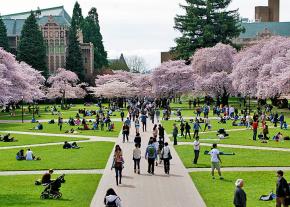 A new semester begins at the University of Washington